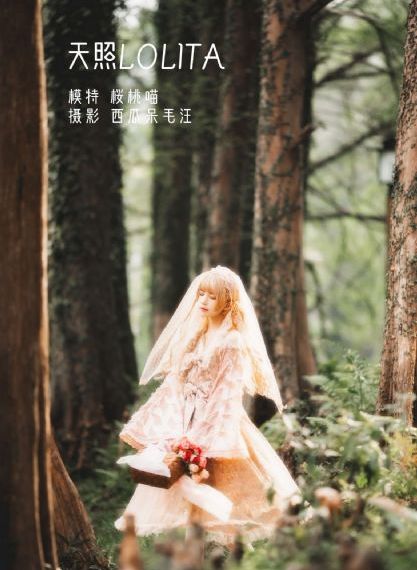公主被皇上强到哭高H_DVD在线观看视频