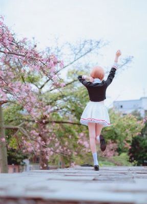 日韩av伦理片x8tvcn_蓝光免费电视剧
