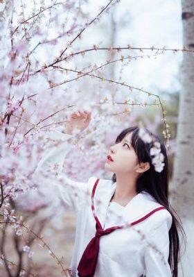 思思热99re在线视频_BT磁力天堂在线观看高清